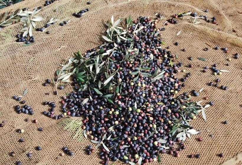 호텔 Agriturismo Torre Cristina