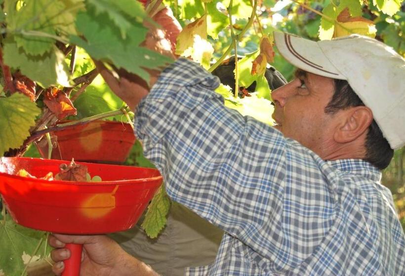 호텔 Agriturismo Torre Cristina