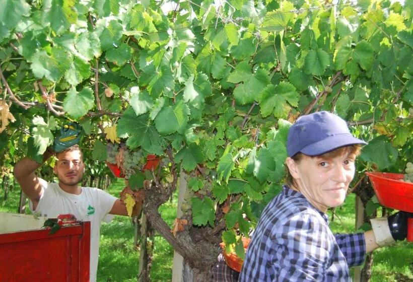 호텔 Agriturismo Torre Cristina