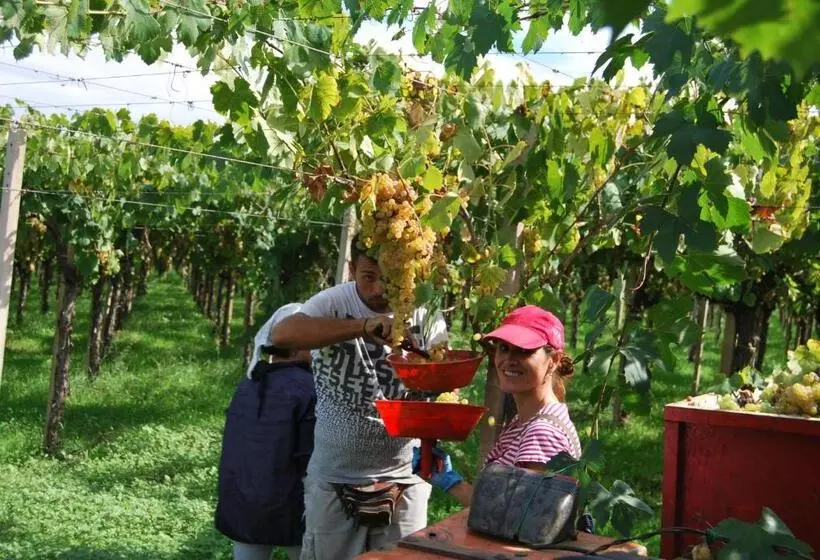 ホテル Agriturismo Torre Cristina