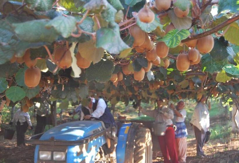 호텔 Agriturismo Torre Cristina