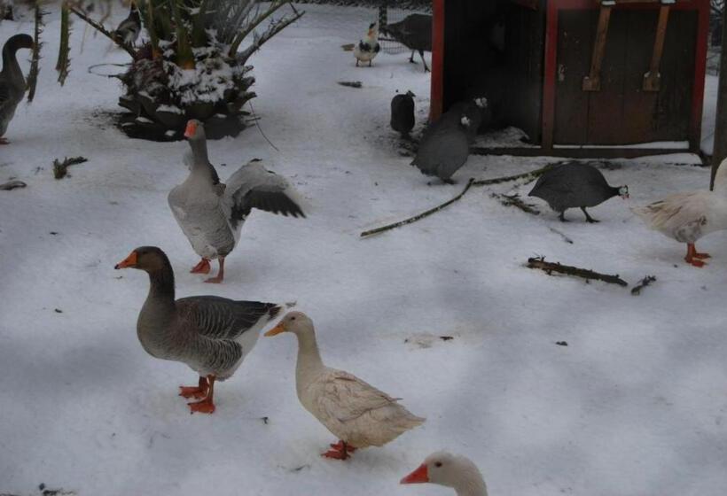 호텔 Agriturismo Torre Cristina