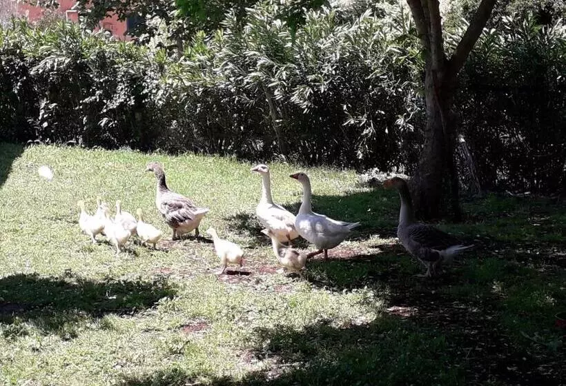 ホテル Agriturismo Torre Cristina