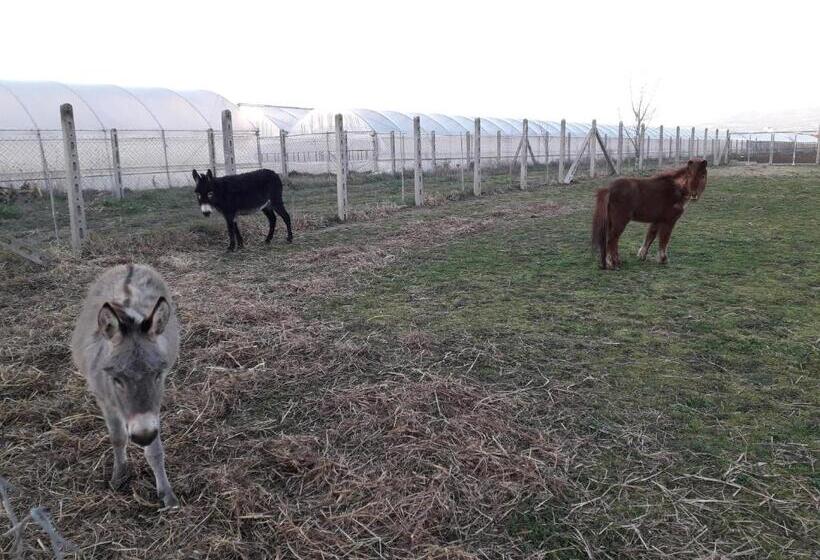 호텔 Agriturismo Torre Cristina