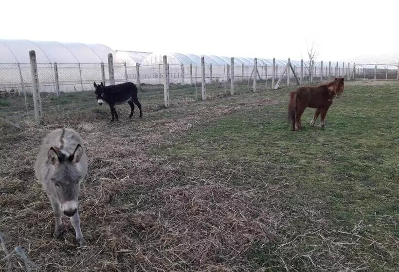 ホテル Agriturismo Torre Cristina