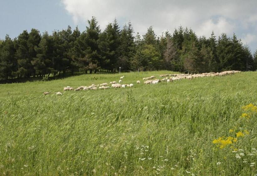 בית מלון כפרי Country House Villa Delle Rose Agriturismo