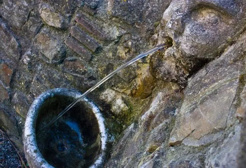 ホテル Fattoria Di Camporomano