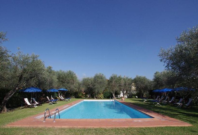 בית מלון כפרי Fattoria Di Camporomano