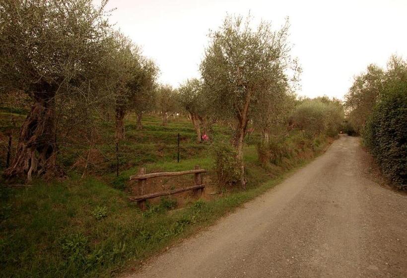 בית מלון כפרי Fattoria Di Camporomano