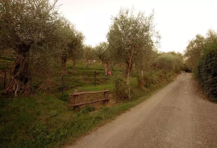 ホテル Fattoria Di Camporomano