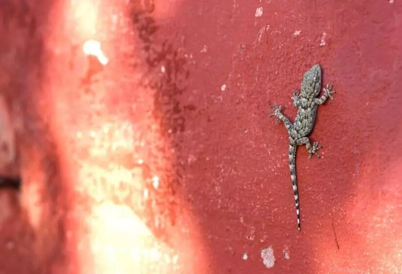 ホテル Fattoria Di Camporomano