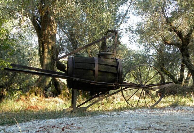 בית מלון כפרי Fattoria Di Camporomano