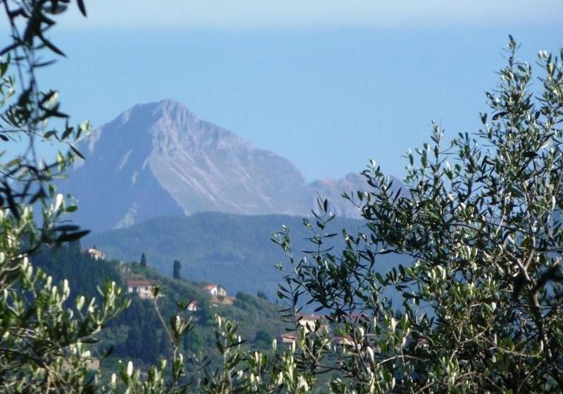 בית מלון כפרי Fattoria Di Camporomano