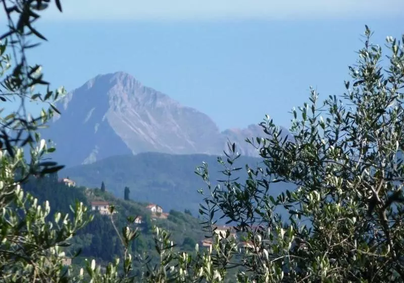 ホテル Fattoria Di Camporomano