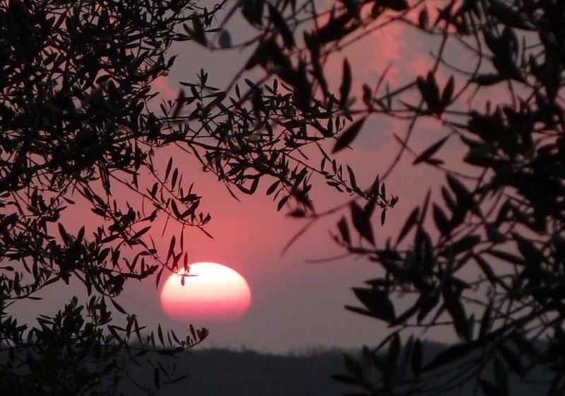 בית מלון כפרי Fattoria Di Camporomano