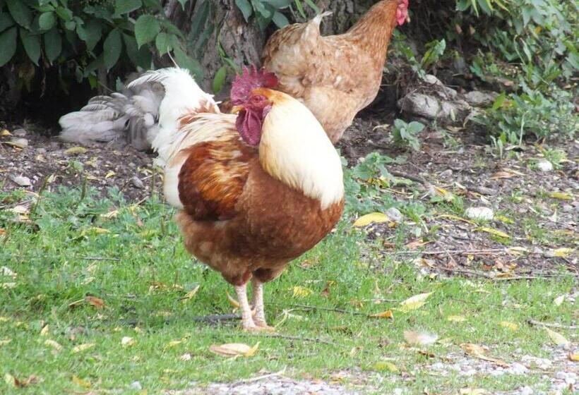 Otel Großflatscherhof