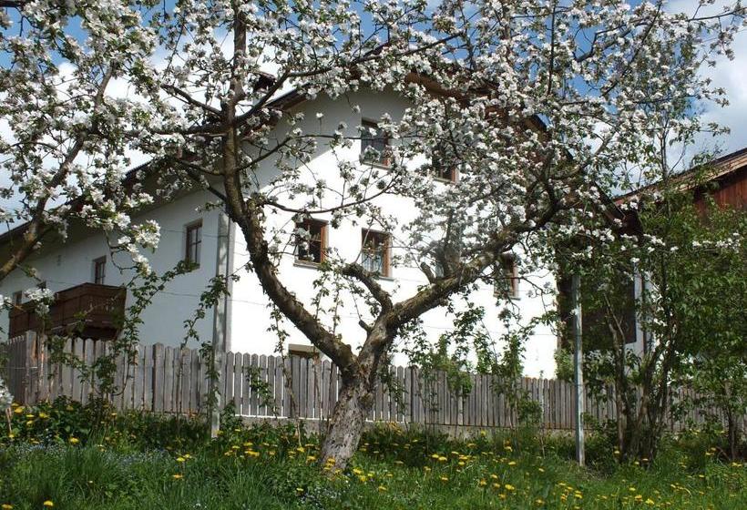 Otel Großflatscherhof