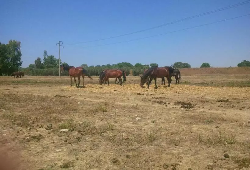 Hotelli Il Gelsomino