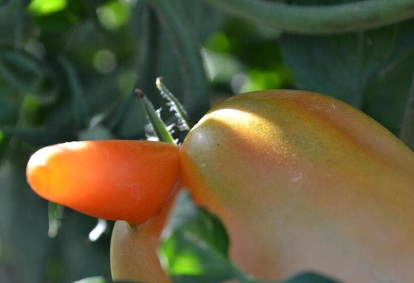 هتل La Locanda Di Valbella