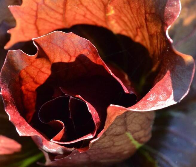 هتل La Locanda Di Valbella