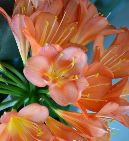 هتل La Locanda Di Valbella