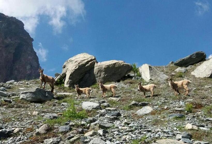 پانسیون A  La Table Du Sommelier Chambres D Hôtes & Restaurant