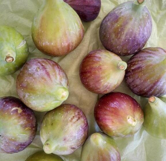 פנסיון B&b Luvì