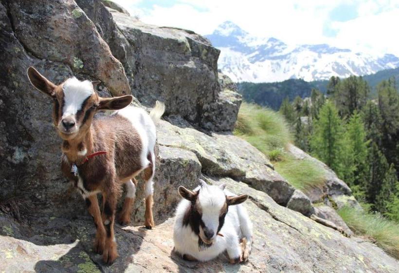 Majatalo Rifugio Zoia