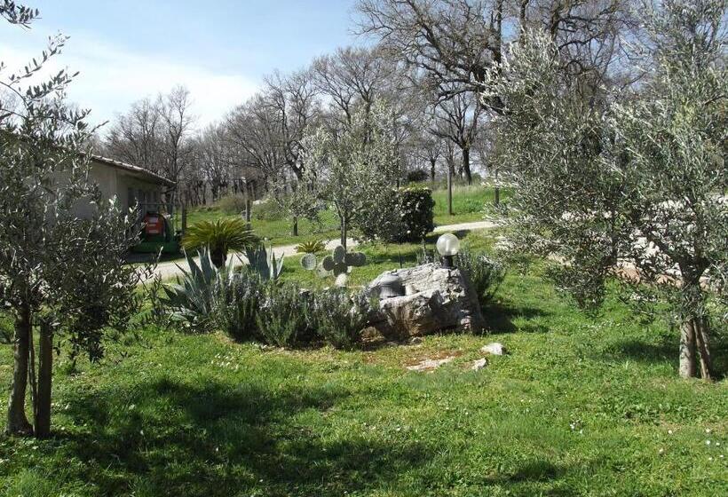 בית מלון כפרי Agriturismo La Conserva