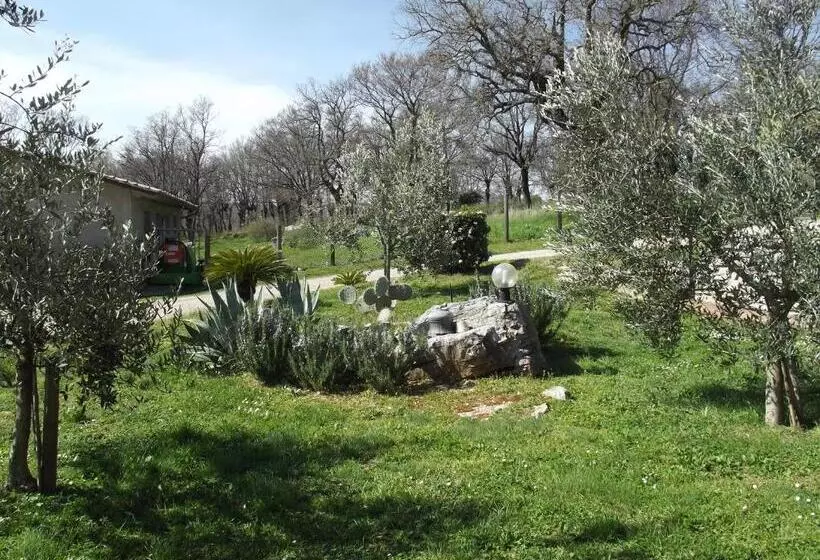 ホテル Agriturismo La Conserva