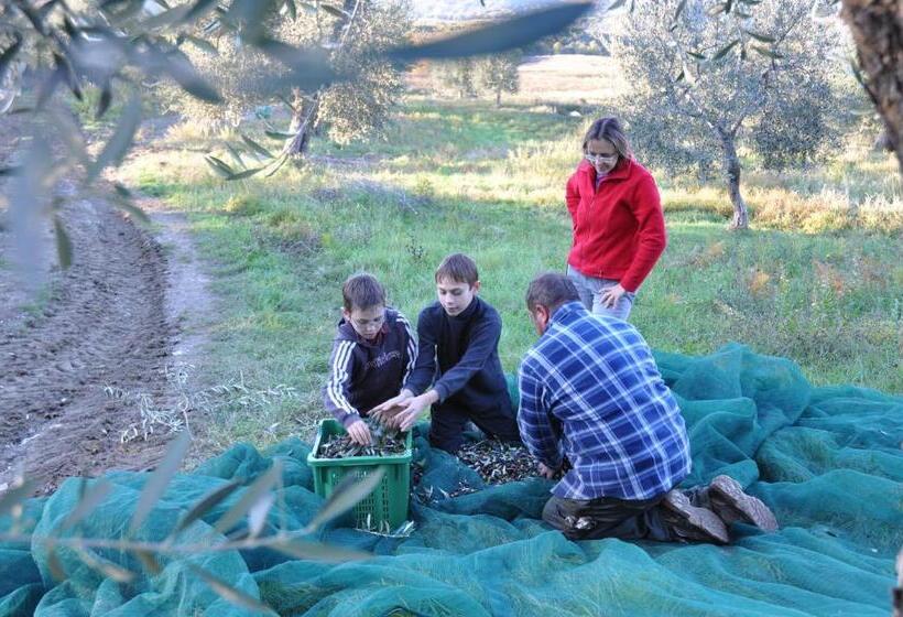 Отель Vitabella Toscana