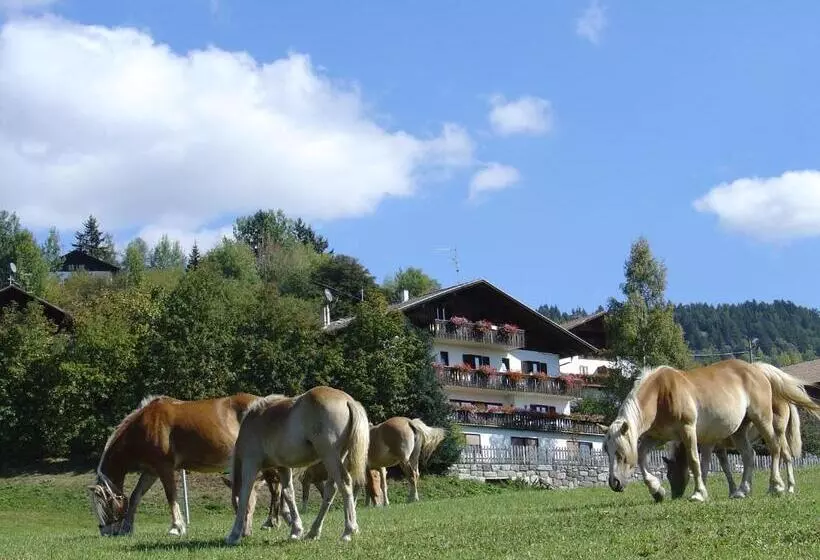 Majatalo Haus Hafner