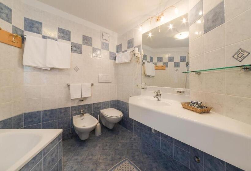 Residence Chalet Pinis