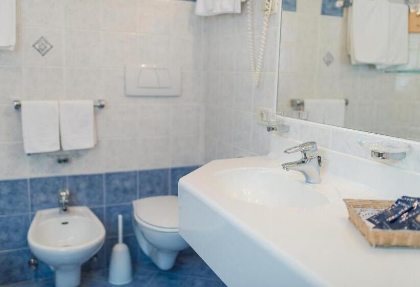 Residence Chalet Pinis