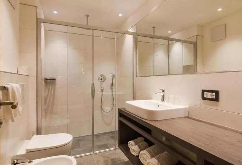 Residence Chalet Pinis