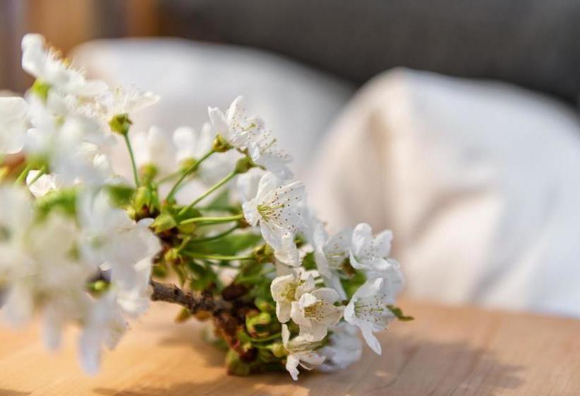 Residence Landhaus Fux