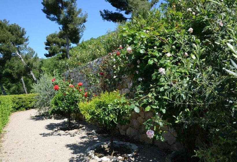 Bed and Breakfast La Bastide Des Pins