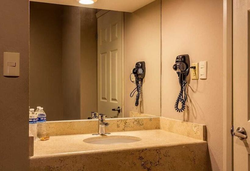 فندق Bonitto Inn® Tampico Lomas