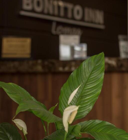 فندق Bonitto Inn® Tampico Lomas