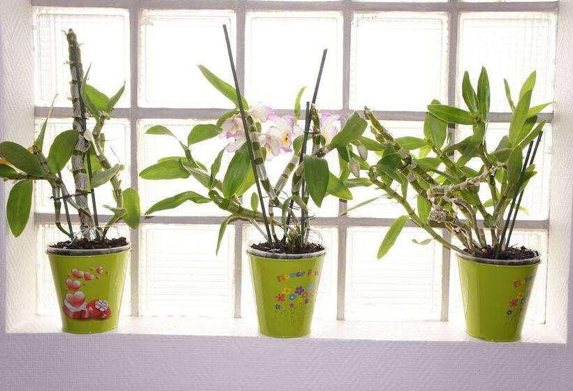 فندق De La Place