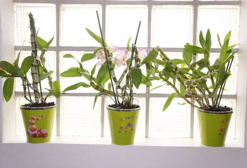 ホテル De La Place