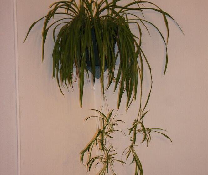 فندق De La Place