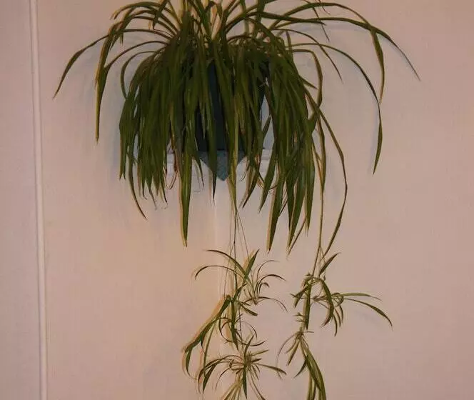 ホテル De La Place