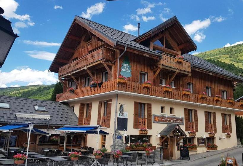 호텔 Hôtel Chalet Les Mélèzes