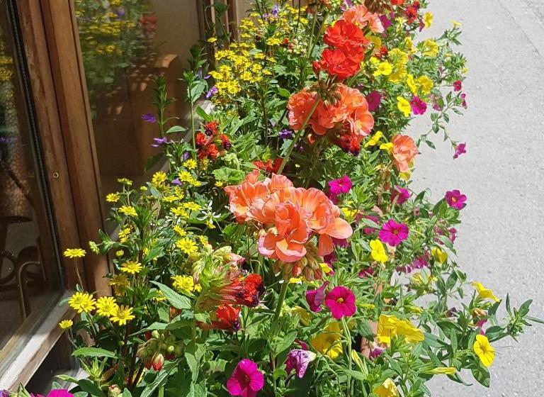 호텔 Hôtel Chalet Les Mélèzes