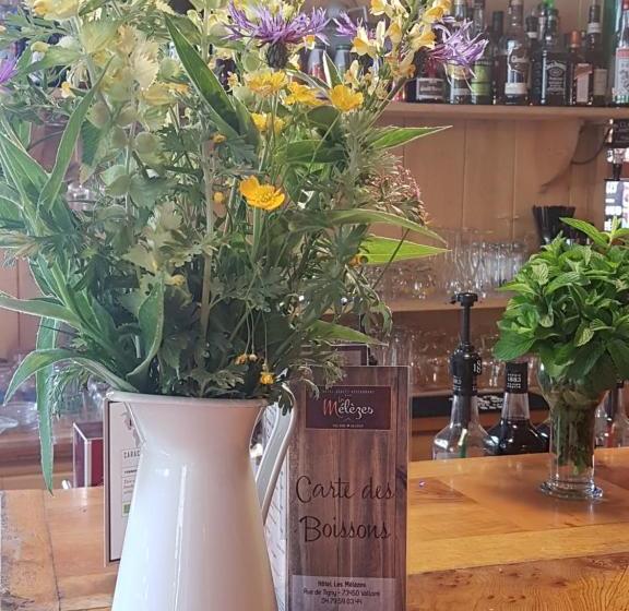 호텔 Hôtel Chalet Les Mélèzes