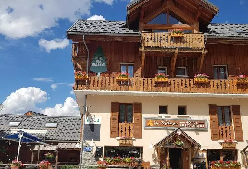 هتل Hôtel Chalet Les Mélèzes