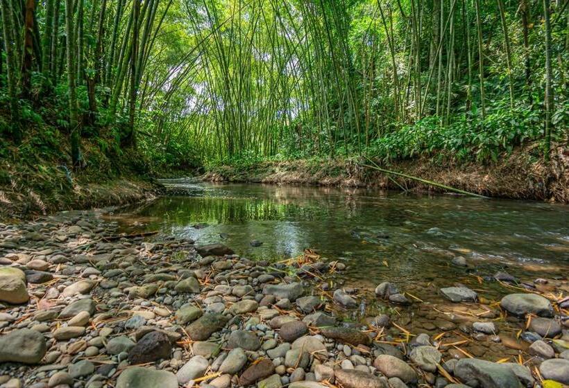 Aldeas Hoteles Resort