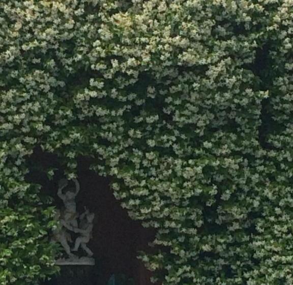 Pensione Maison Nounette