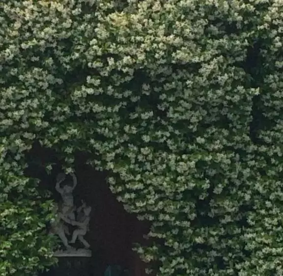 Majatalo Maison Nounette